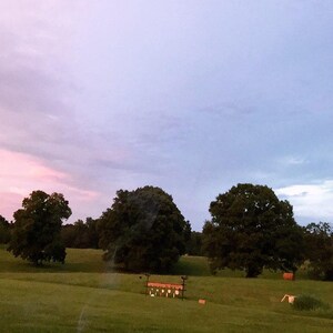 May include: A scenic outdoor shot of a grassy field under a colorful sky. The sky transitions from pink to blue. Several large trees are scattered across the field, and shooting targets are visible in the distance.