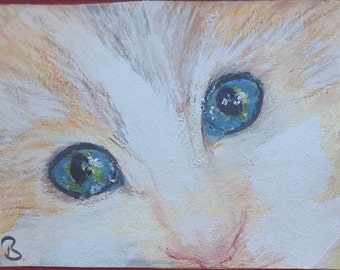 ACEO - Original Cat Portrait - Unique - Bunstift on ACEO Card