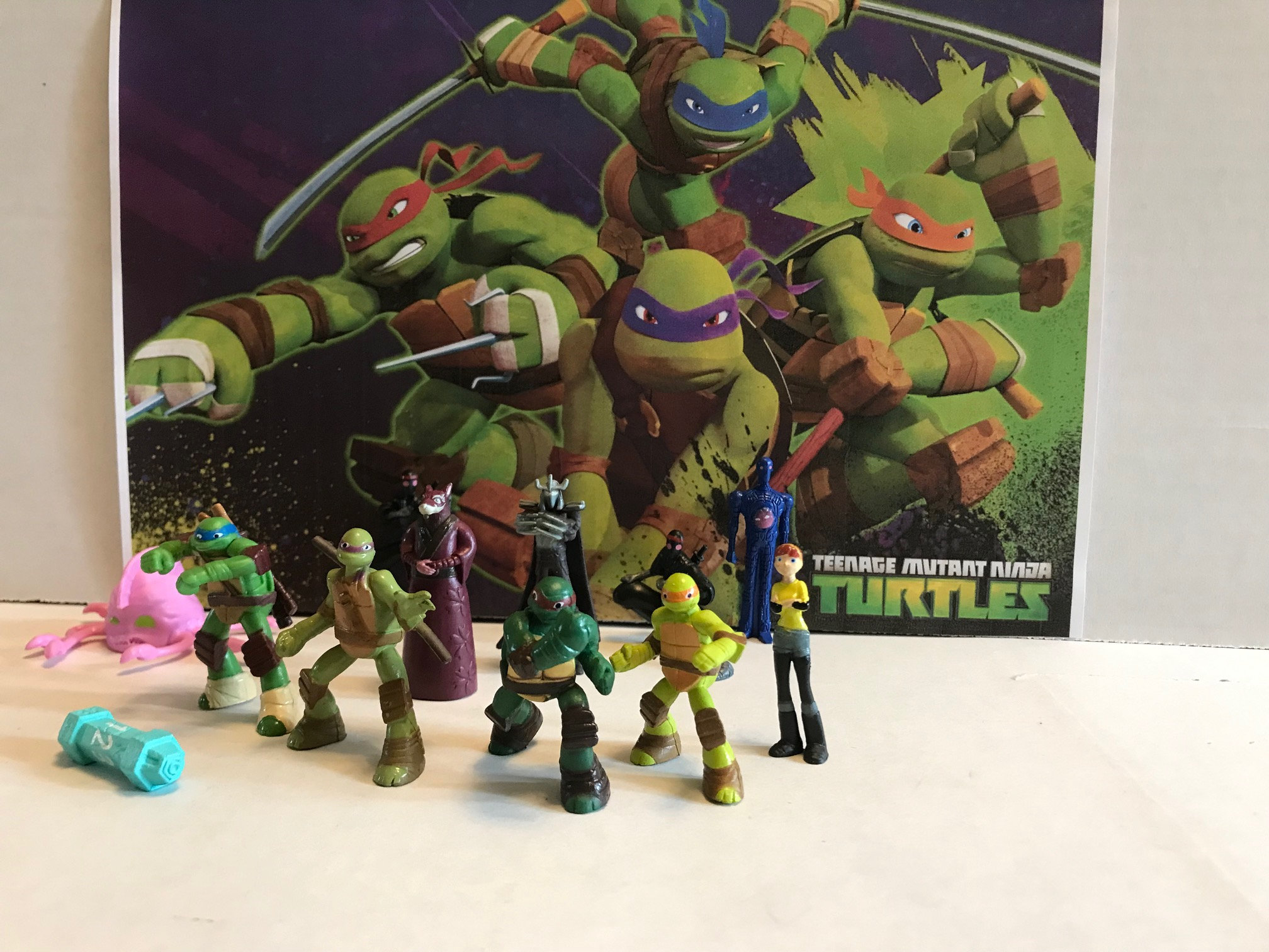 Teenage Mutant Ninja Turtles Party Favors Set of 12 Shredder, April, the Mutagen Etc