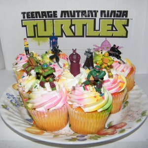 May include: A set of cupcakes decorated with colorful frosting and sprinkles, each topped with a Teenage Mutant Ninja Turtles character figurine. The cupcakes are arranged on a white plate with a floral design.