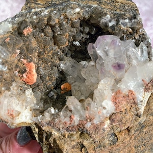 May include: A geode with a cavity filled with clear quartz crystals and a few purple amethyst crystals. The geode is surrounded by a rough, brown, and gray rock.