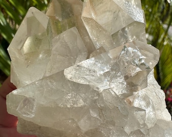 Brazilian Clear Quartz Statement Cluster, Crystal Gift, Crystal Home Decor, Altar Decor, Crystal Collector, Clarity Crystal