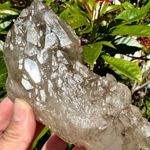 High Vibration Self Standing Elestial Citrine Statement Crystal, Smoky Citrine Aligator Quartz from Minas Gerais Brazil