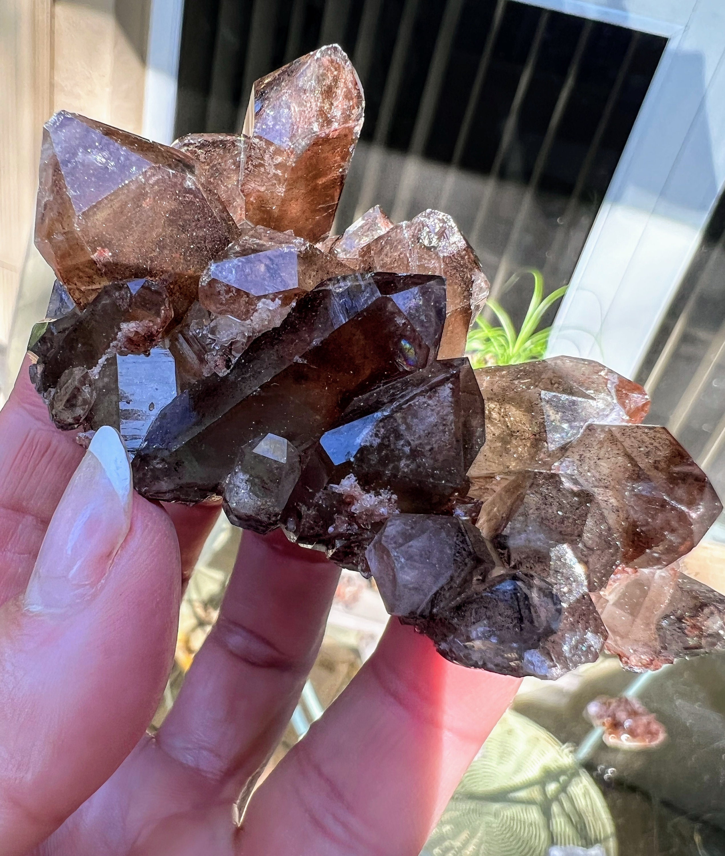 Stunning Smoky Quartz Cluster With Red Hematoid Inclusions