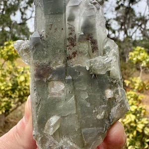 May include: A large, translucent quartz crystal cluster with a pale green hue and internal inclusions. The crystal has multiple points and a rough, natural texture. The background shows blurred green foliage.