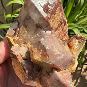 Red Phantom Quartz, Hematite Quartz Cluster from Congo, Red Quartz Statement Crystal, Christmas Gift