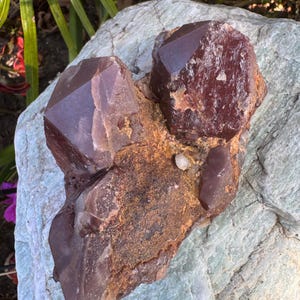 Beautiful Red Phantom Quartz Cluster from Congo, Hematite Included Quartz Statement Piece, Christmas Gift