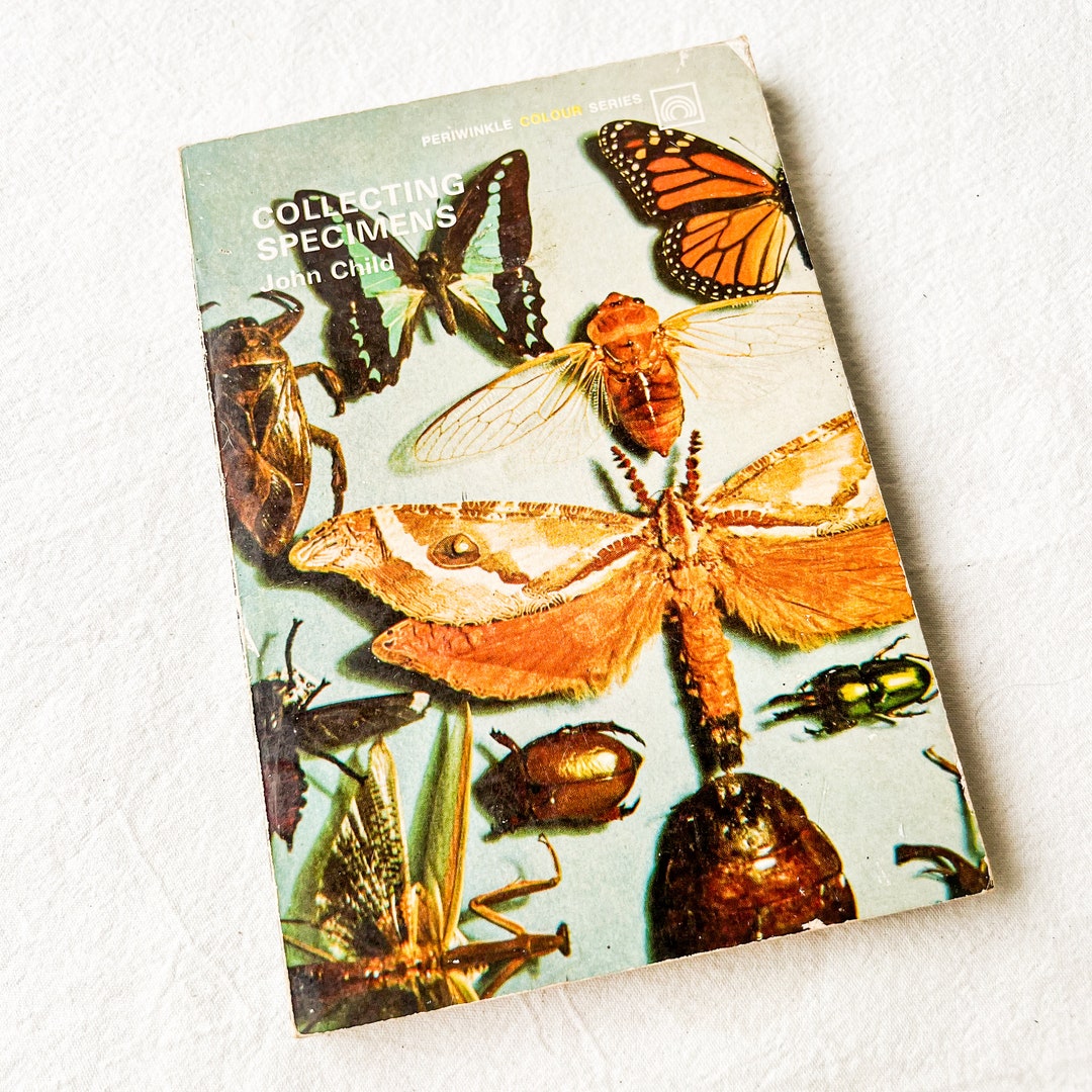 Collecting Specimens by John Child Paperback Etsy