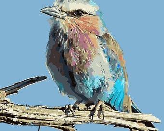 Bird Paint By Number Etsy