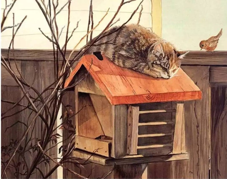 Paint by Number Kit Fast Shipping Cat sleeping on Birdhouse #paintbynumbers DIY
