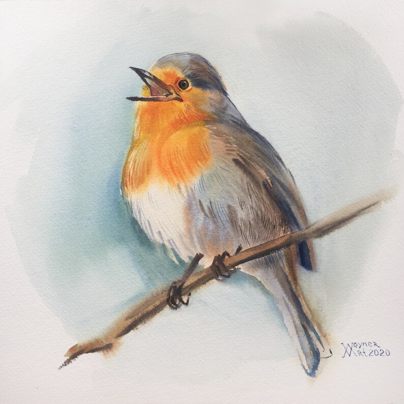 Robin bird painting. Orange birds watercolor drawing. Etsy