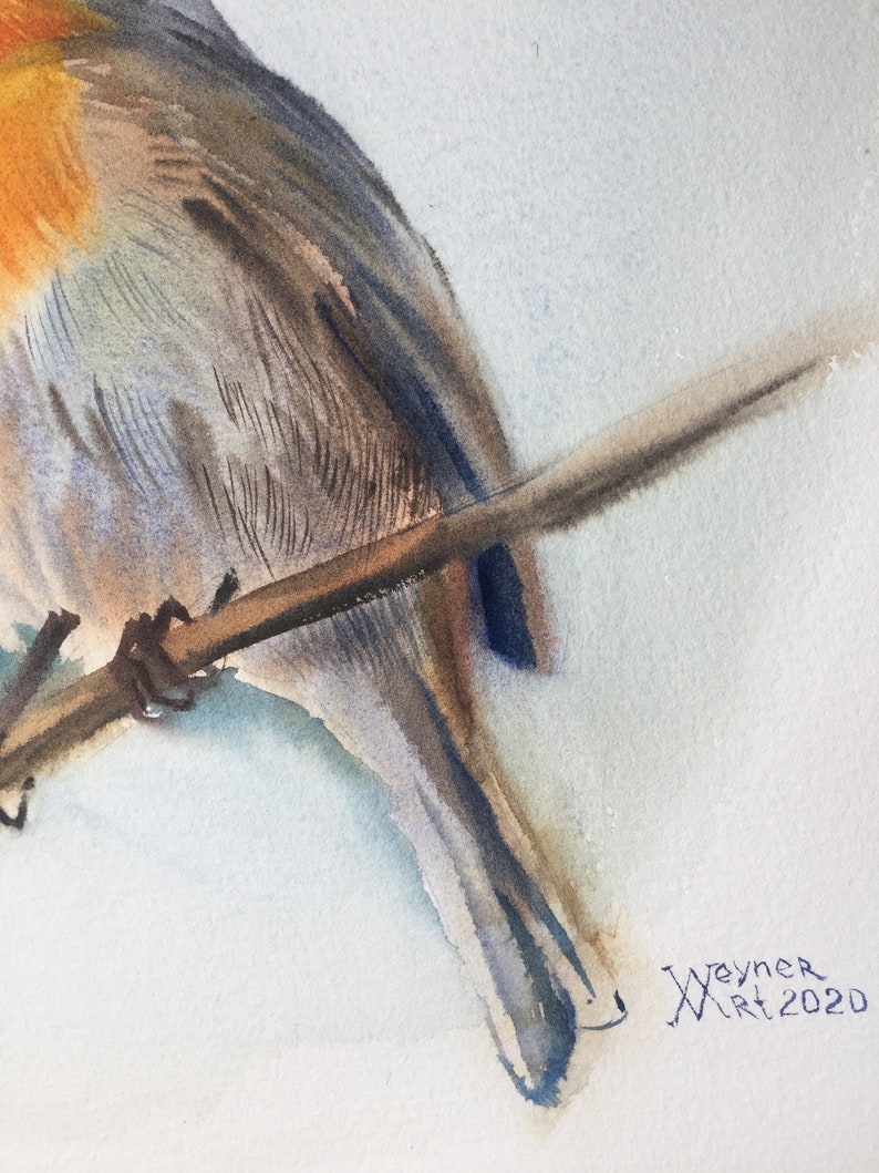 Robin bird painting. Orange birds watercolor drawing. Etsy