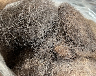 Scoured Bison guard hair: 2 ounces we call “Bad-Ass Scruffy Bison Hair” perfect for Needle Felting Artists!