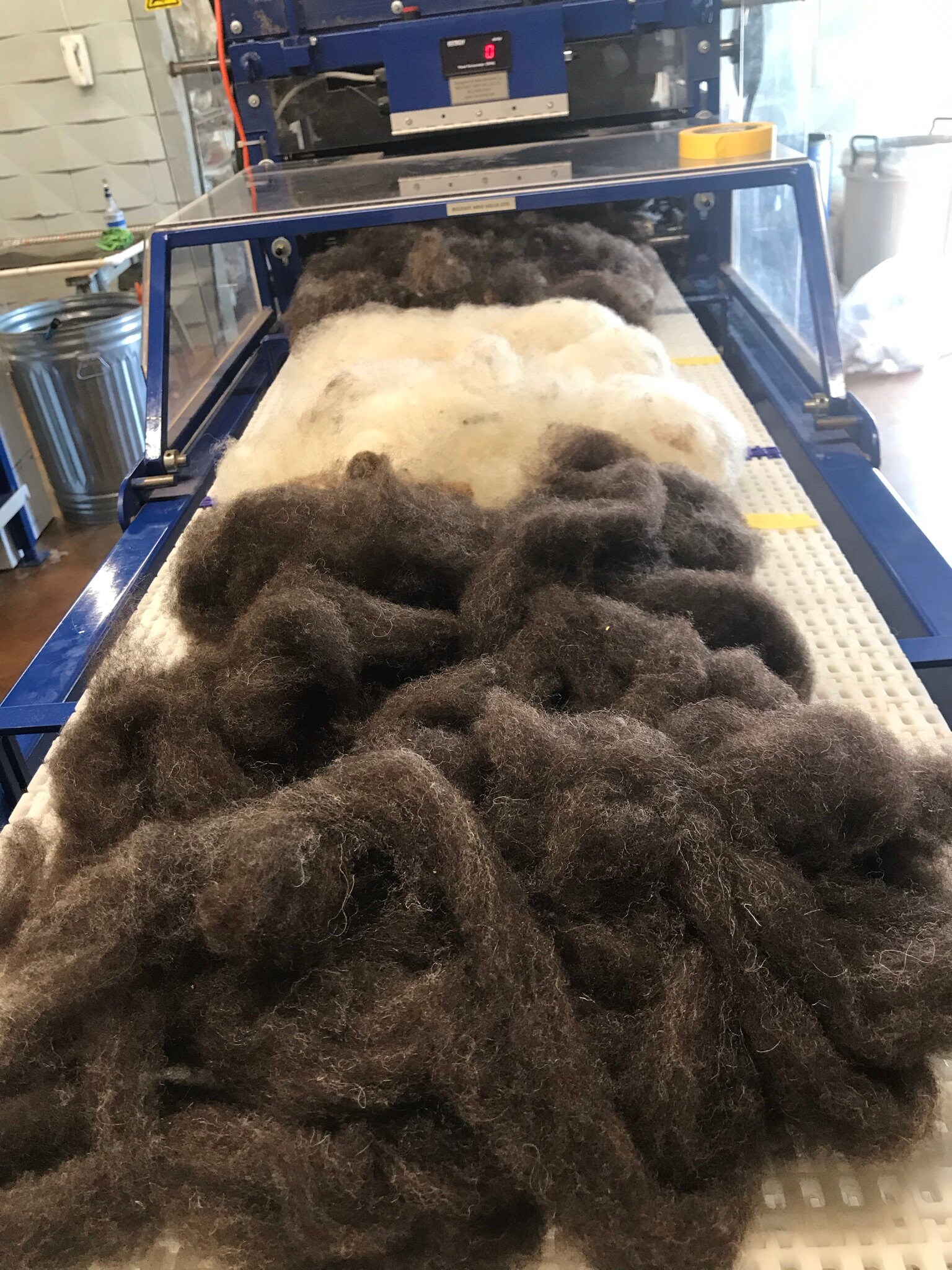 Shave Em to Save Em Jacob Sheep wool 100 sorted black Etsy