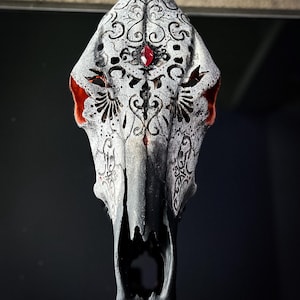 Authentische Hand geschnitzte Kuh Schädel | Gothic Wohnkultur | Echte Tierknochen-Kunst | Wohnaccessoires | Kuriositäten und Kuriositäten