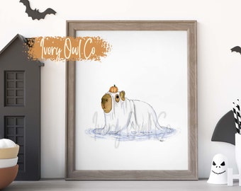 Ghost Princess Capybara Go