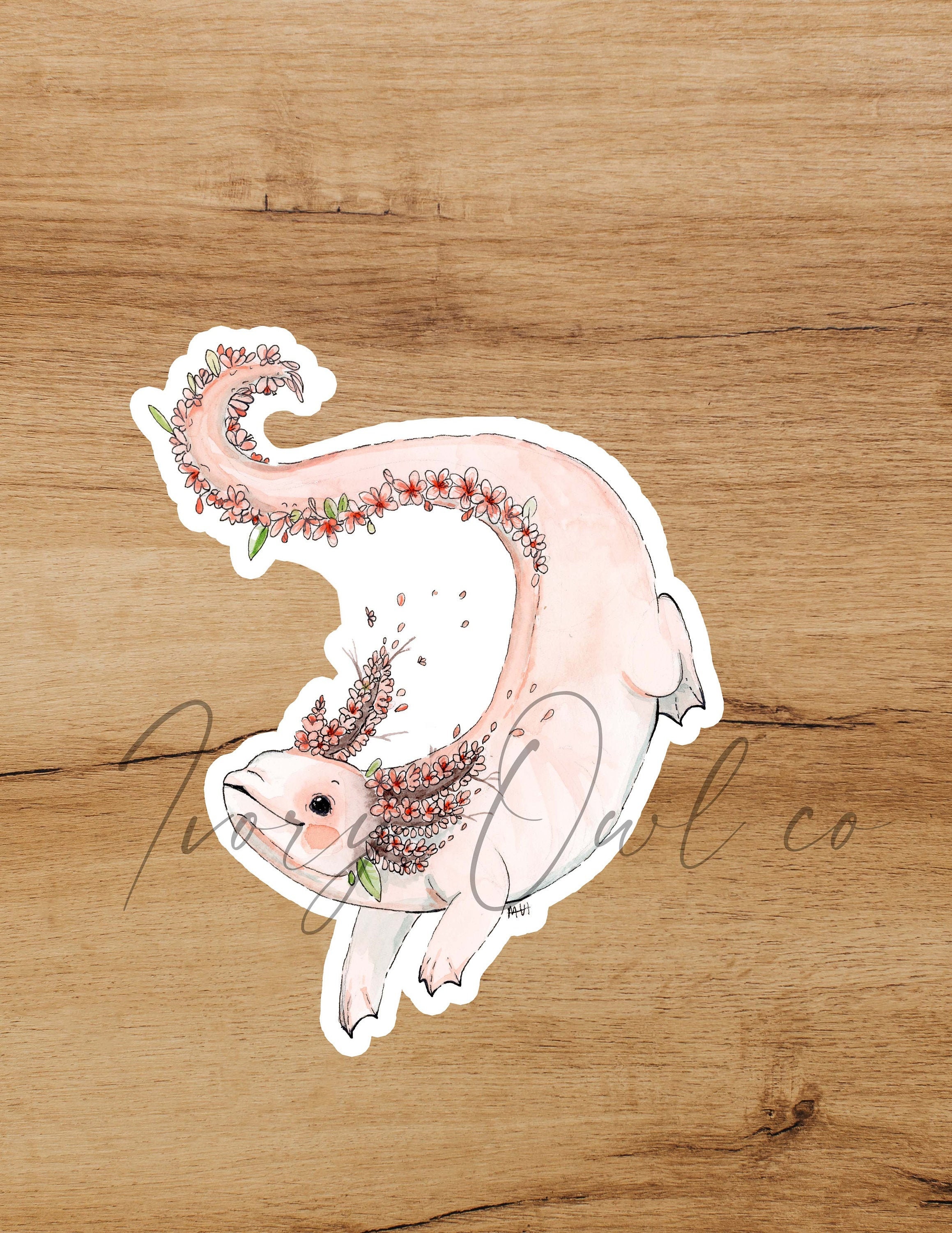 Cherry Blossom Axolotl Sticker