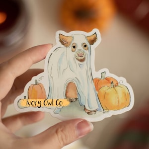 Può includere: Una mucca scozzese bianca vestita da fantasma si trova davanti a due zucche arancioni. L'adesivo ha il testo "Ivory Owl Co" in basso.