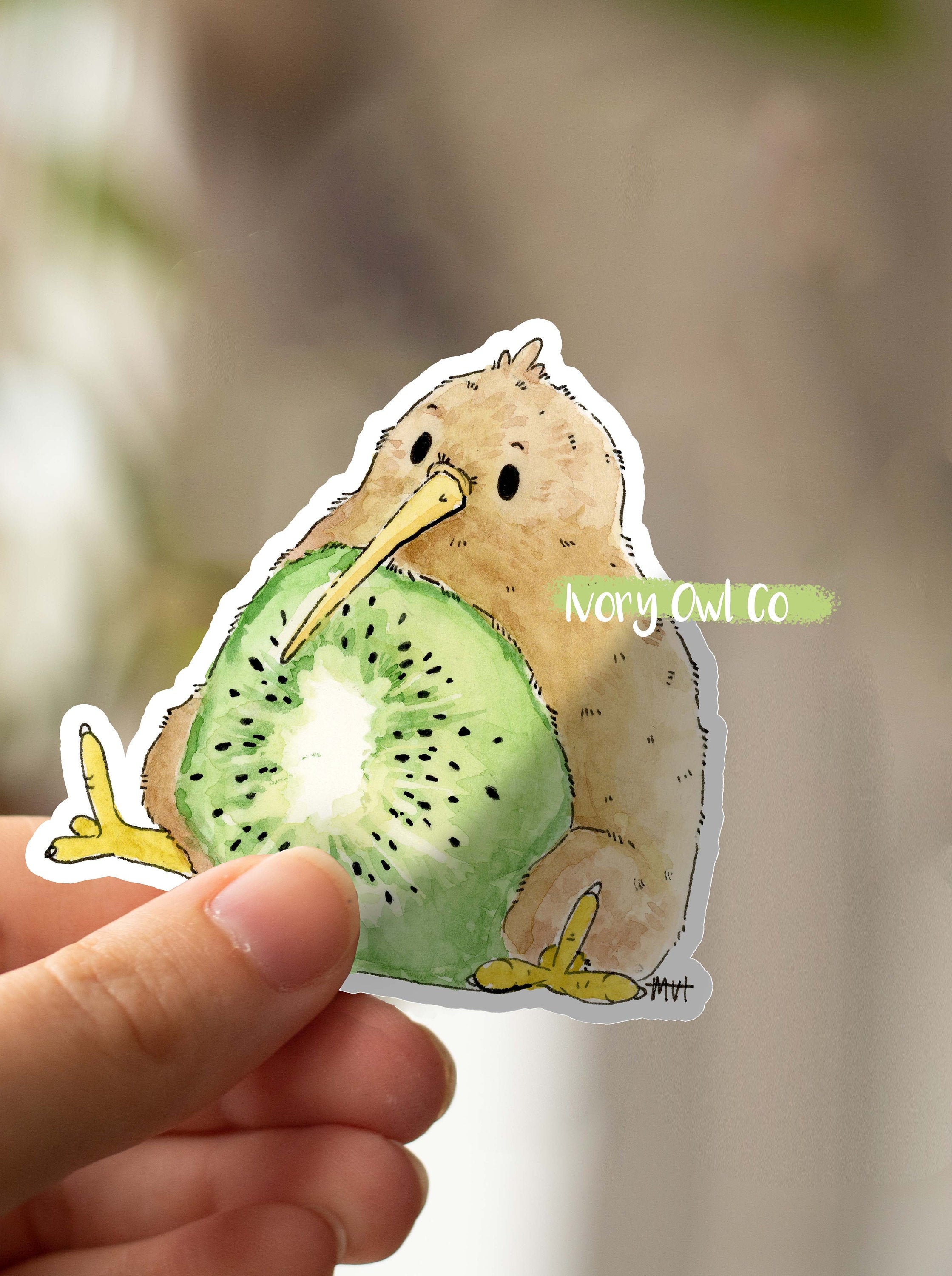 Kiwi Sticker