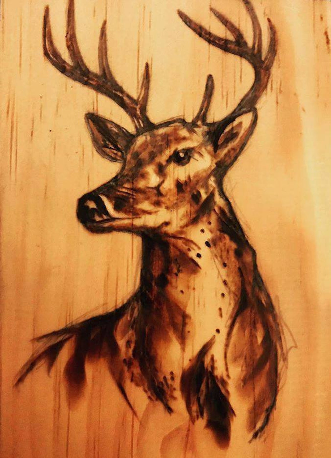 Original Woodburned Deer Etsy