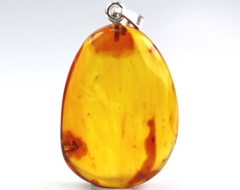 fossil 925 Sterling Silver 1,27 grams Genuine natural Baltic amber pendant with amazing great ANT insect inclusion