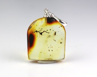 fossil 925 Sterling Silver 1,27 grams Genuine natural Baltic amber pendant with amazing great ANT insect inclusion