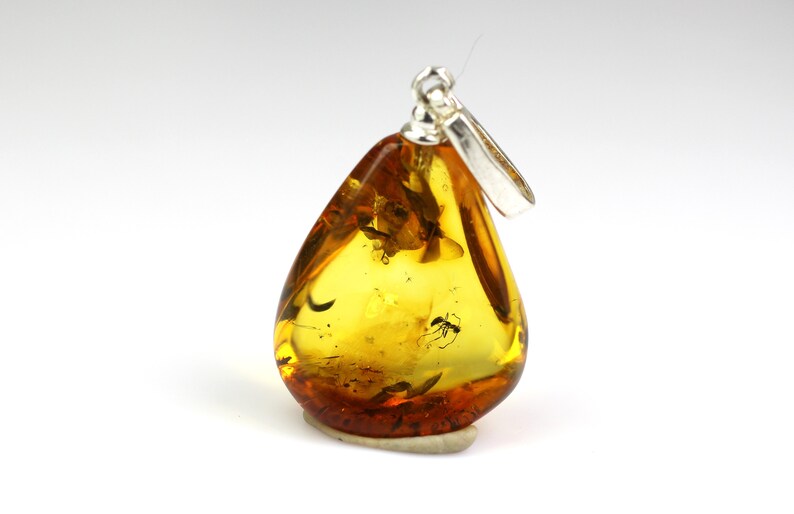 fossil 925 Sterling Silver 1,27 grams Genuine natural Baltic amber pendant with amazing great ANT insect inclusion