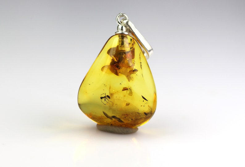 fossil 925 Sterling Silver 1,27 grams Genuine natural Baltic amber pendant with amazing great ANT insect inclusion