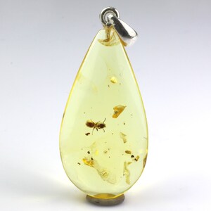 fossil 925 Sterling Silver 1,27 grams Genuine natural Baltic amber pendant with amazing great ANT insect inclusion