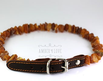 baltic amber flea collar
