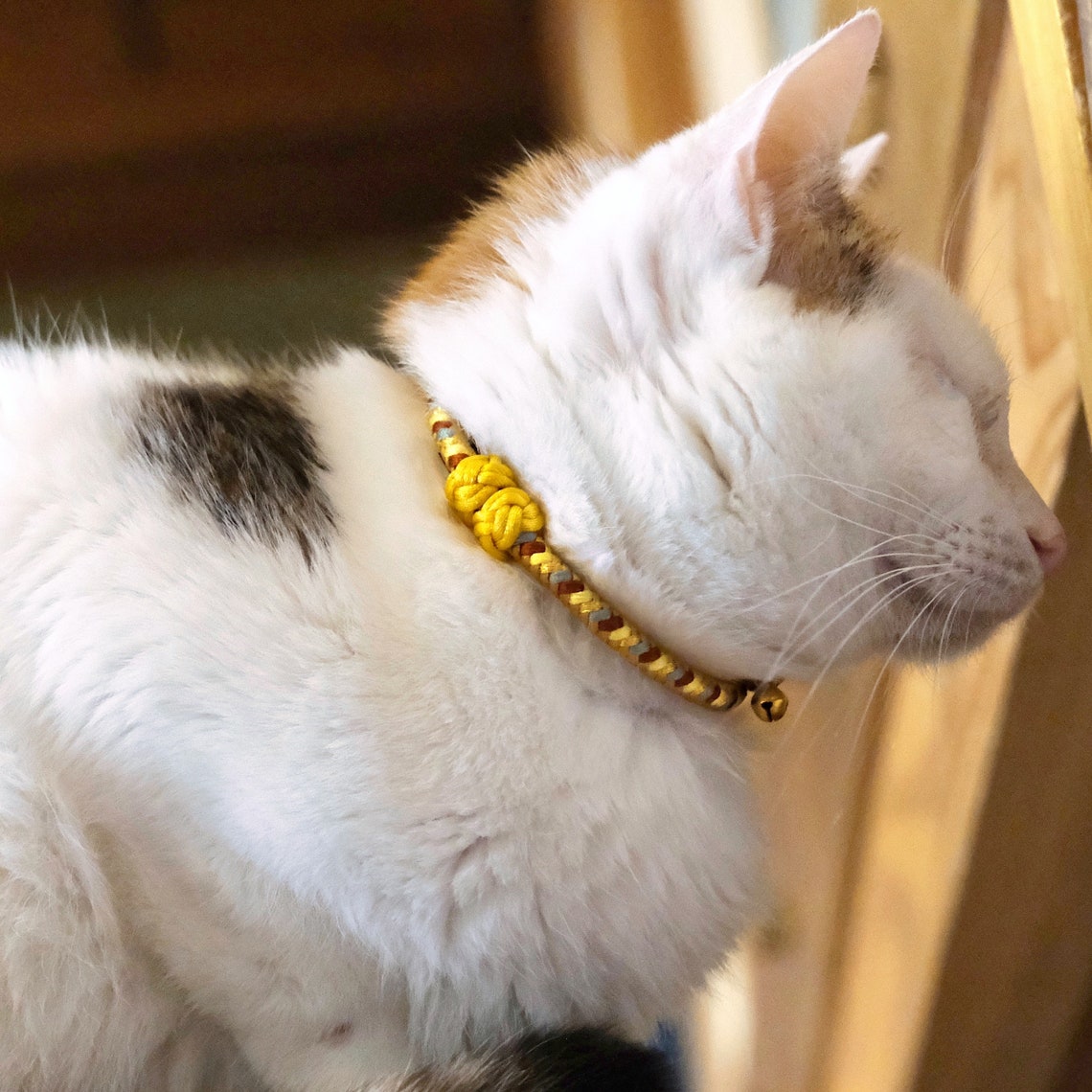 CINNAMON COLLAR Japanese kumihimo cat collar with safety Etsy