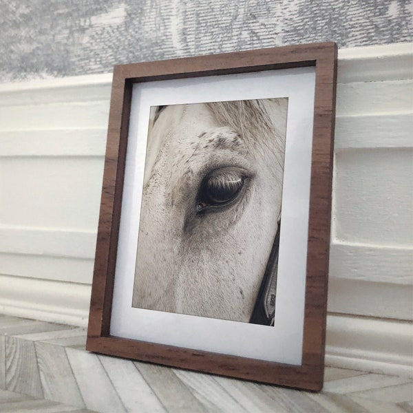 Horse Eye Print 1/12 Dollhouse Minimal Color Photograph Miniature  Modern Decor