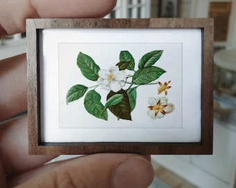 Vintage Botanische Illustration Kunstdruck: 1/12 Puppenhaus Miniatur (Digitaler Download)
