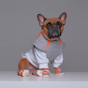 Waterproof dog jacket/Frenchie Clothes/Premium dog apparel/Luxury pet clothing/French bulldog coat/Dog vest/Dog winter coat/Exclusive dog
