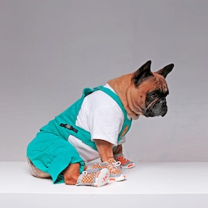 Bottom half dog pants online