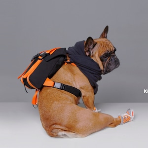 Adjustable Dog Harness wit backpack for Outdoor Adventures|Travel with pets|Hiking with dog|Dog pack with harness|French Bulldog Attire