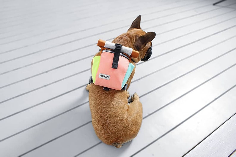 off white dog backpack