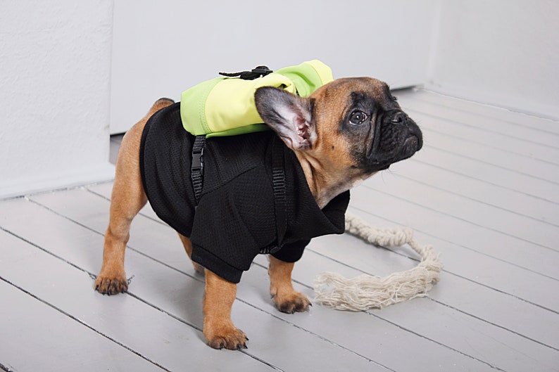 snackies dog backpack