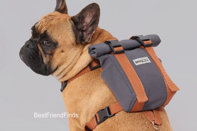custom dog harness by BestFriendFinds Dog backpack harness dog harness french bulldog puppy harness best dog gift