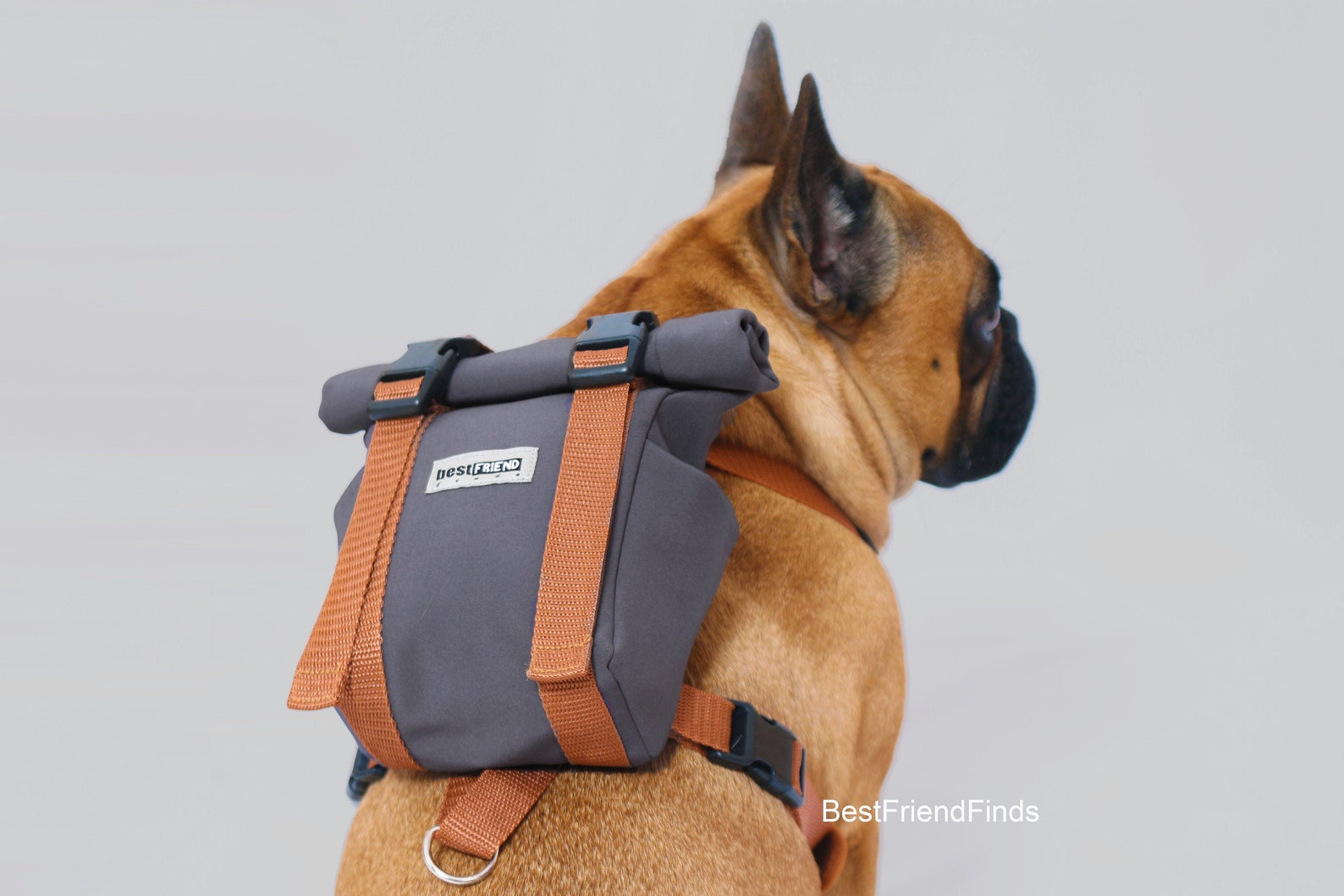 Dog Backpack Harness Dog Harness Custom Dog Harness by Etsy