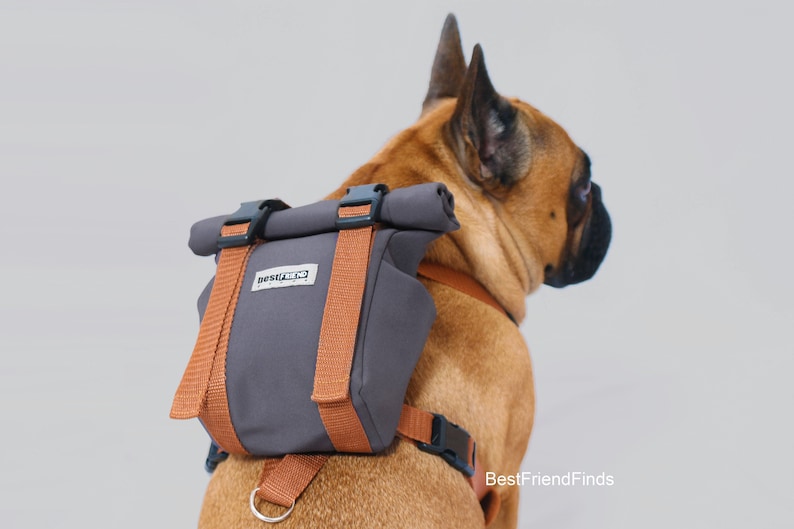 custom dog harness by BestFriendFinds Dog backpack harness dog harness french bulldog puppy harness best dog gift
