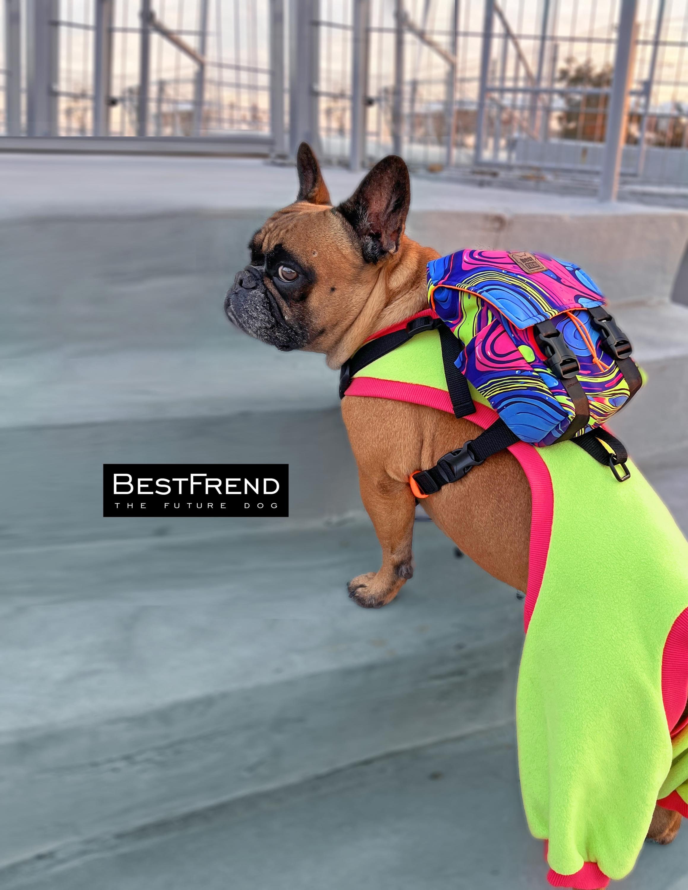 Dog Backpack Harness: Adjustable Travel Pet Carrier
