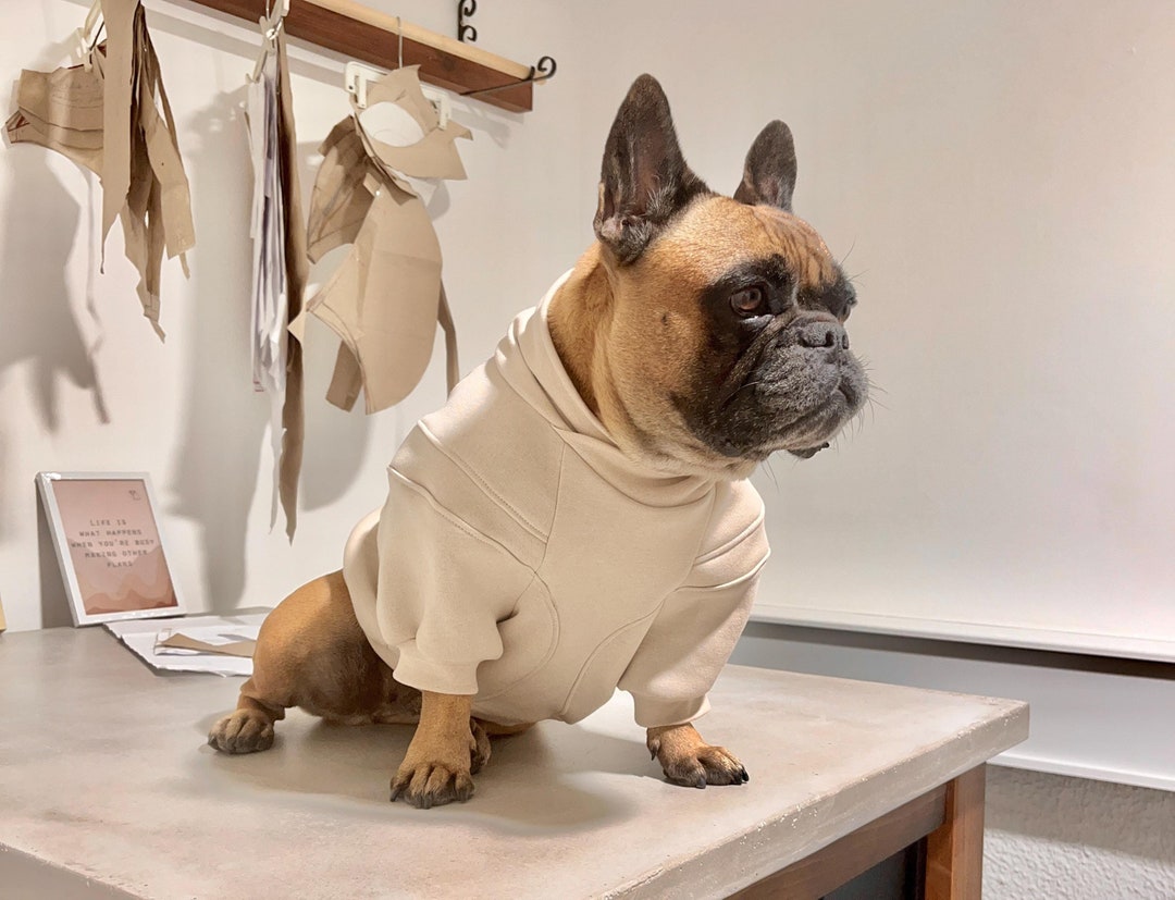Dog Sweatshirtwarm Dog Clotheshandmade Dog Clothesdog Winter Wearfrench