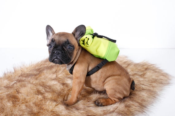bulldog backpack