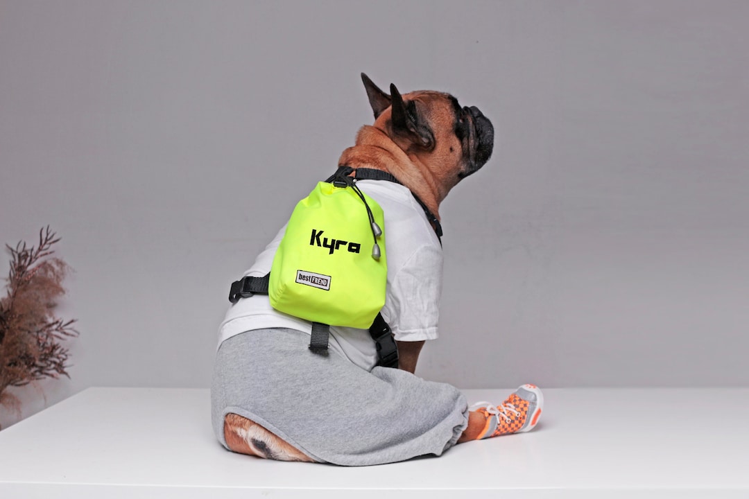 Harnais Sac A Dos Bouledogue Harnais De Sac à Dos Pour Chien - Main Image