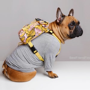 Best Dog Backpack Harness To Wear