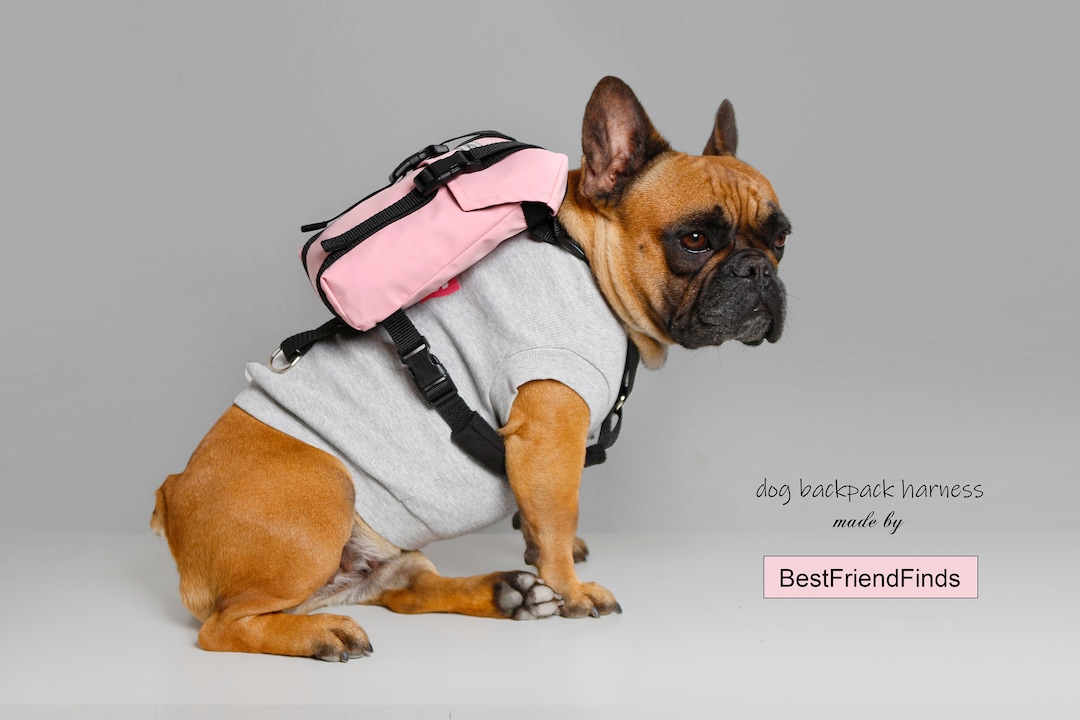 Harnais de sac à dos pour chien sac de transport réglable pour