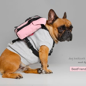 Dog Backpack Etsy Canada