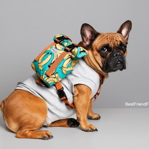 Best Dog Backpack Harness To Wear