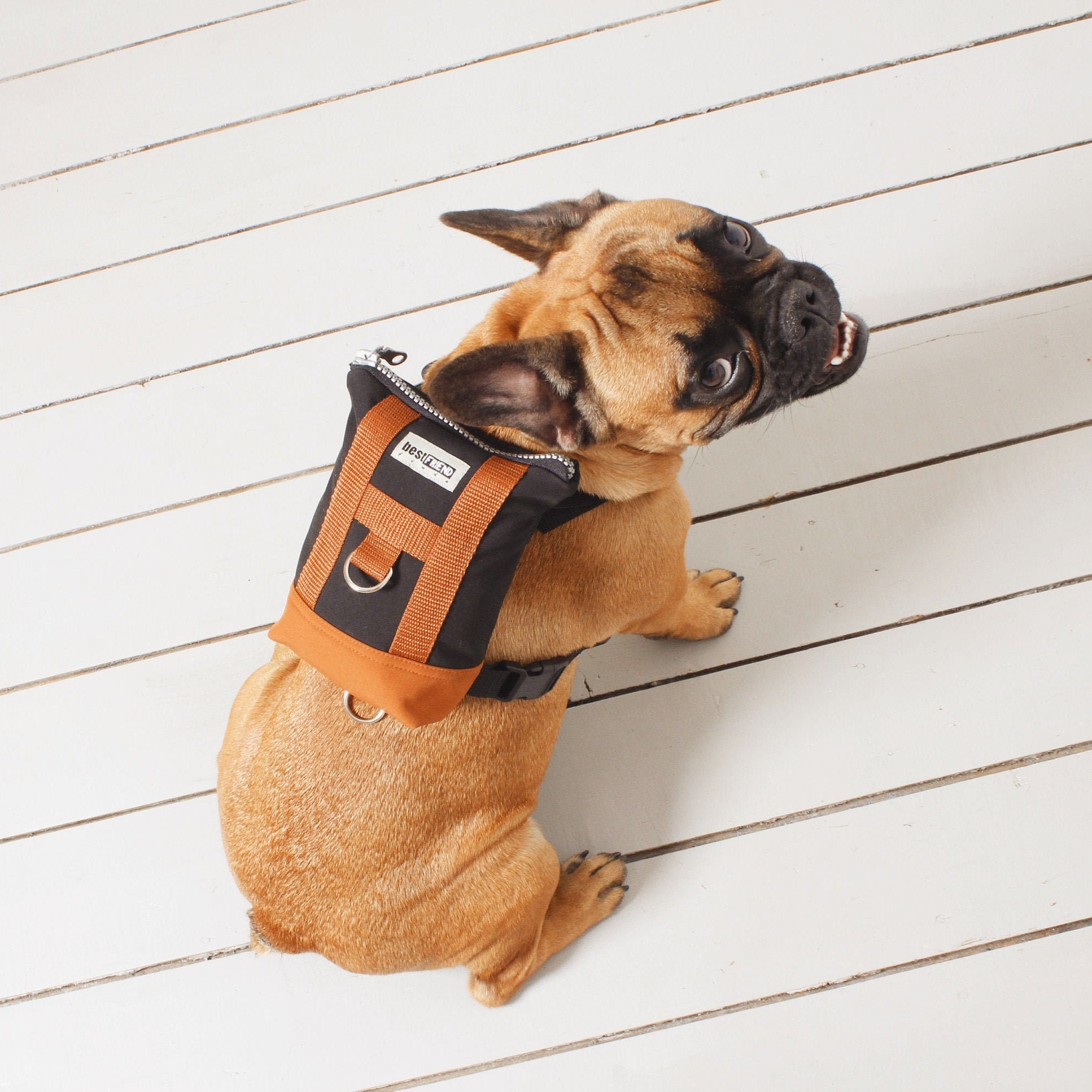 Chewy Designer Dog Backpack Harness